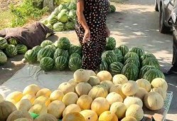 热点吃瓜,吃瓜群众如何解读明星事件