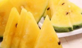 吃瓜网官网免费观看 吃瓜51在线黑料9,免费畅享吃瓜51在线黑料，独家爆料等你来探